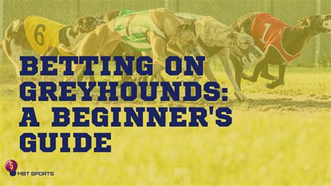 greyhound betting strategies|: Ultimate Greyhound Betting Lessons Guide for Beginners.
